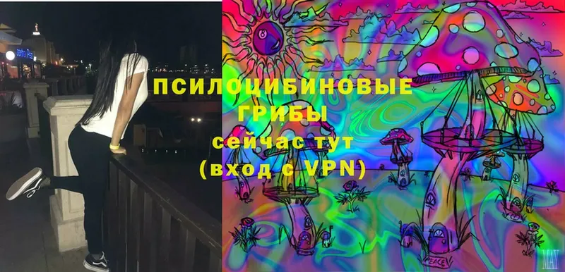 Галлюциногенные грибы Magic Shrooms  Костомукша 